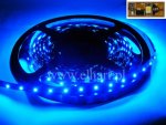 Tama led 12V niebieska 5m/300 did